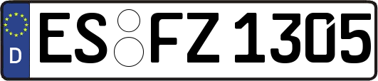 ES-FZ1305
