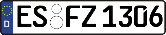 ES-FZ1306