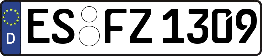 ES-FZ1309