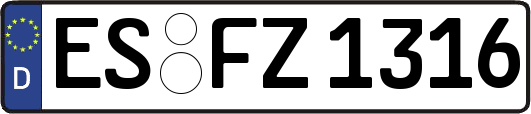 ES-FZ1316