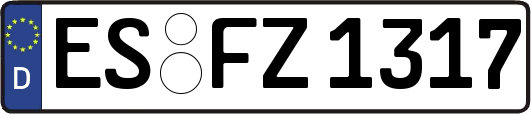 ES-FZ1317
