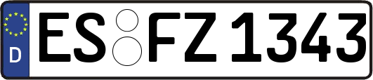 ES-FZ1343