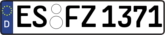 ES-FZ1371