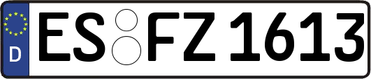 ES-FZ1613