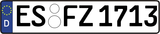 ES-FZ1713