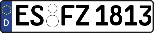 ES-FZ1813