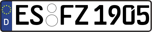 ES-FZ1905