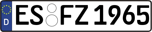 ES-FZ1965