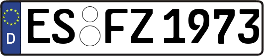 ES-FZ1973