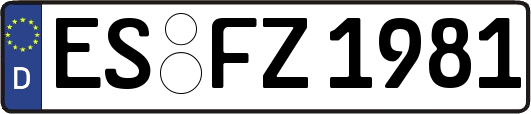 ES-FZ1981