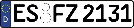 ES-FZ2131