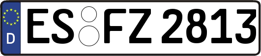 ES-FZ2813
