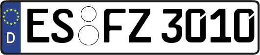 ES-FZ3010