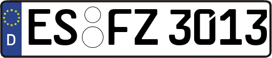 ES-FZ3013