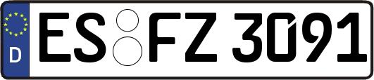 ES-FZ3091