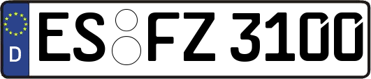 ES-FZ3100