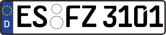 ES-FZ3101