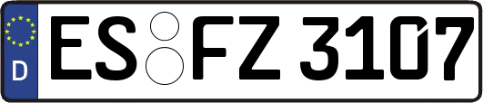 ES-FZ3107