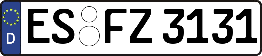 ES-FZ3131