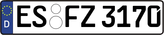 ES-FZ3170