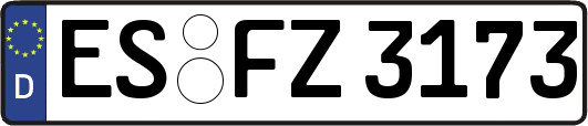 ES-FZ3173