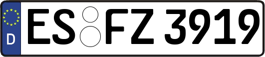 ES-FZ3919