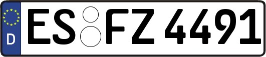 ES-FZ4491