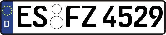 ES-FZ4529