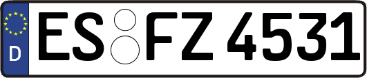 ES-FZ4531