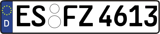ES-FZ4613