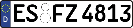 ES-FZ4813