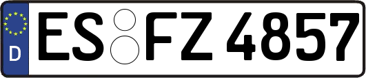 ES-FZ4857