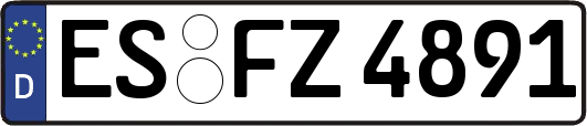 ES-FZ4891