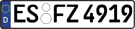 ES-FZ4919