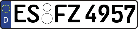 ES-FZ4957