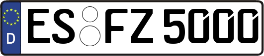 ES-FZ5000