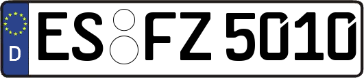 ES-FZ5010
