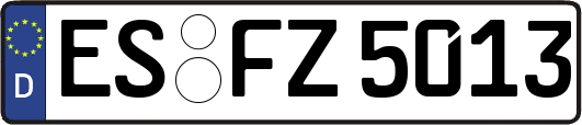 ES-FZ5013
