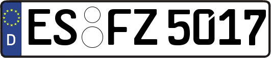 ES-FZ5017