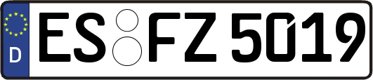 ES-FZ5019