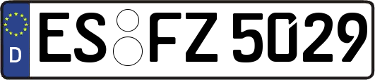 ES-FZ5029