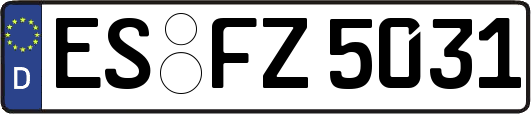 ES-FZ5031