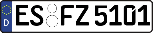 ES-FZ5101