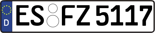 ES-FZ5117