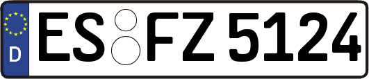 ES-FZ5124
