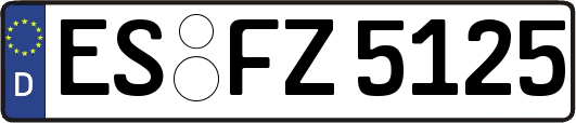 ES-FZ5125