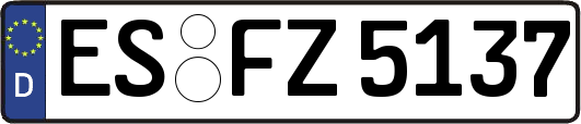 ES-FZ5137