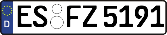 ES-FZ5191