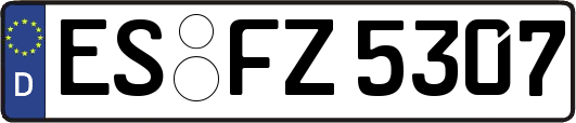 ES-FZ5307
