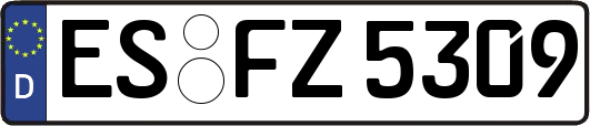 ES-FZ5309